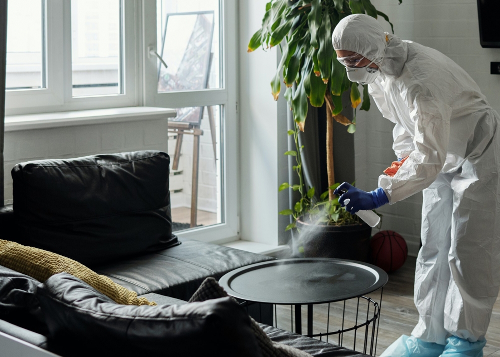 Ventajas de desinfectar los rincones de tu casa