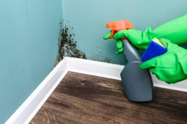 Cómo limpiar el moho de las superficies en tu hogar